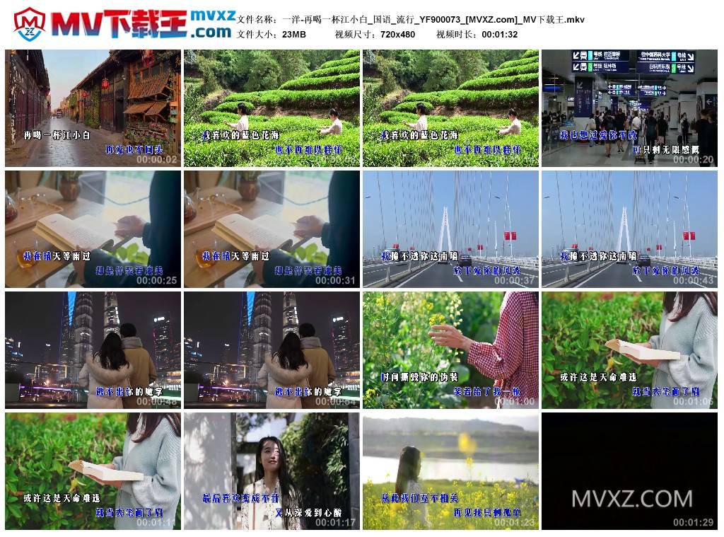 一洋-再喝一杯江小白_国语_流行_YF900073